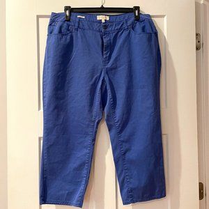 Talbots Woman Bright Blue Ankle Length Pants
